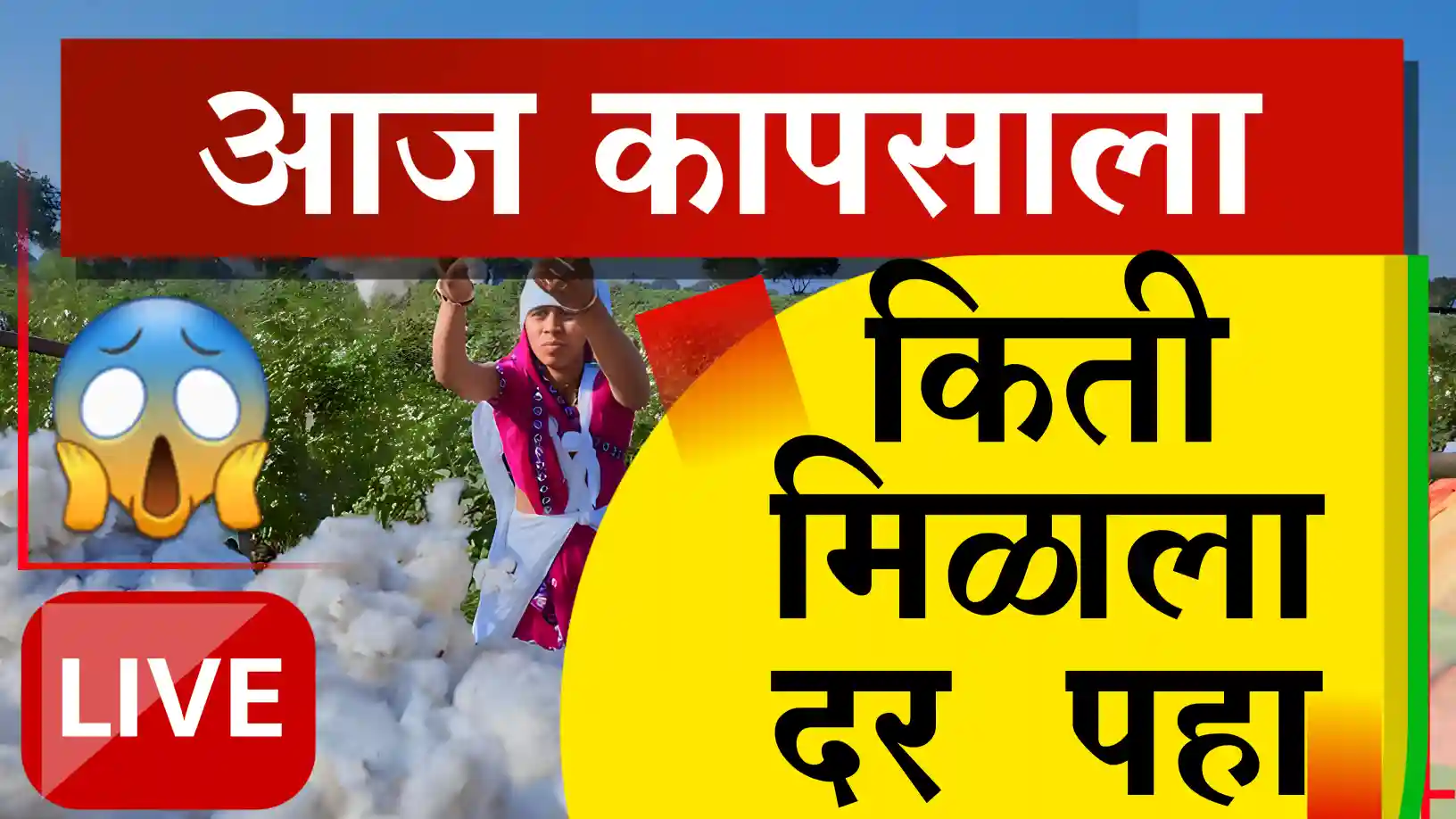 देशातील कापूस बाजारात