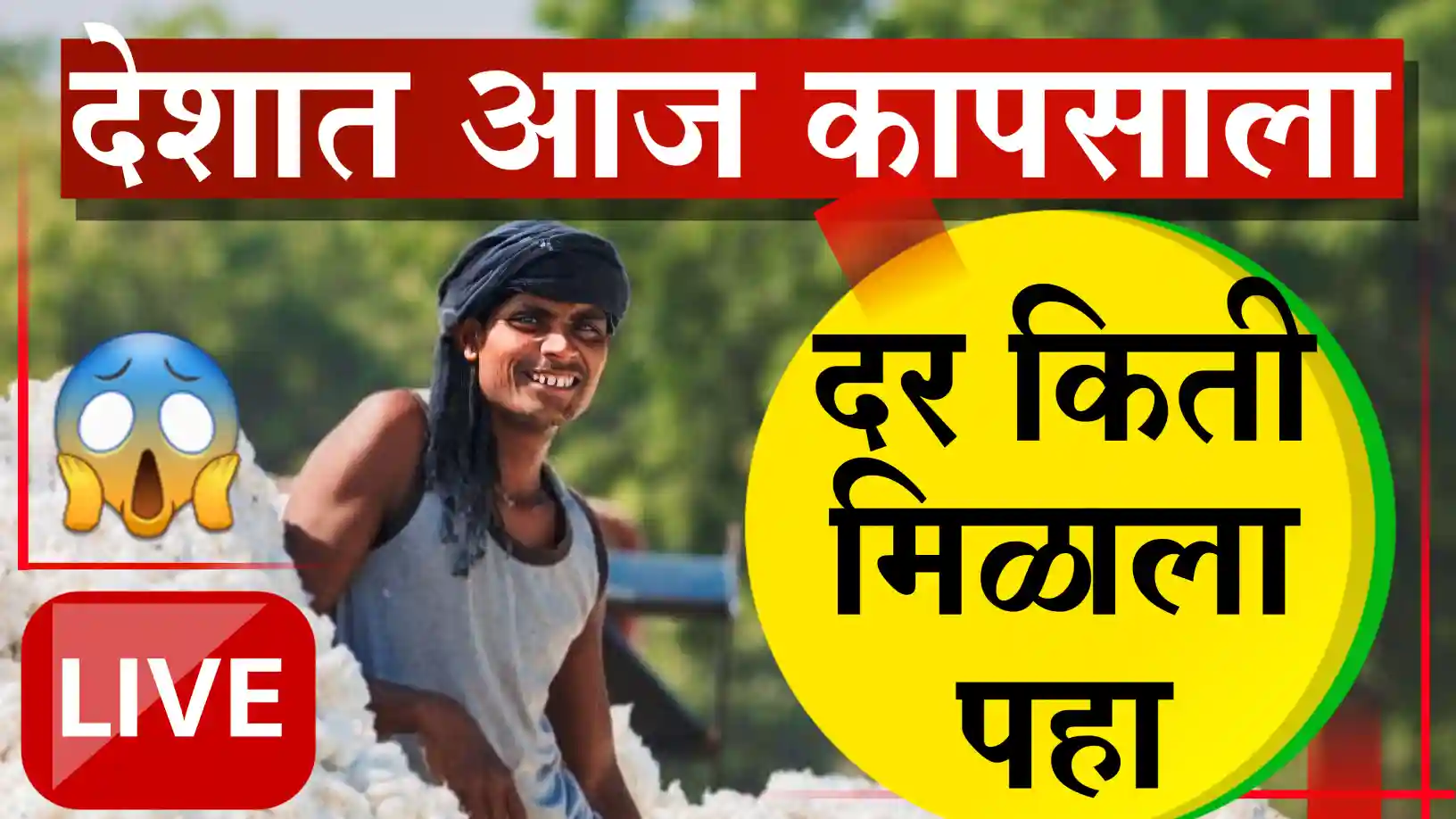 today cotton rate