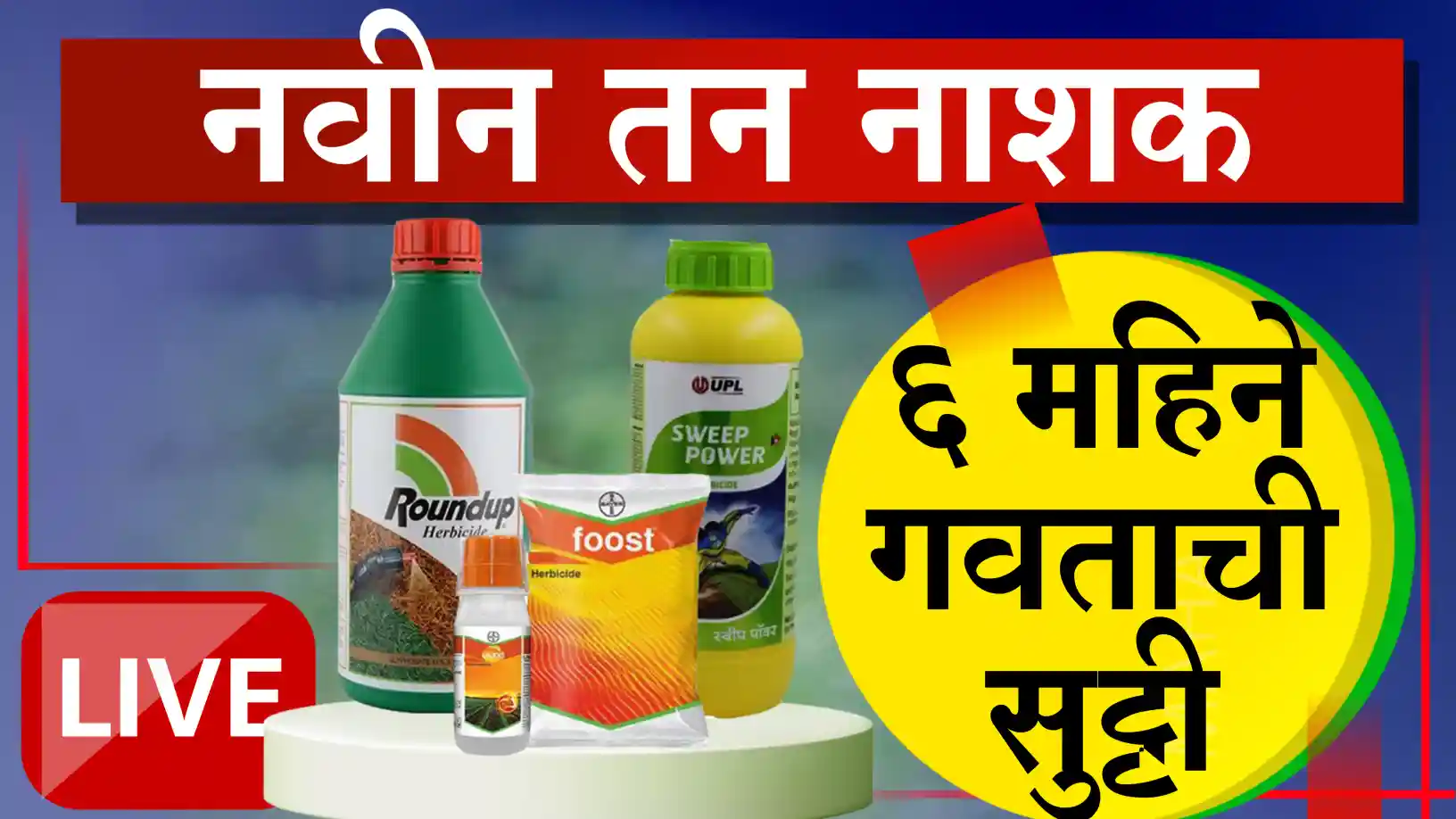 अलायन प्लस