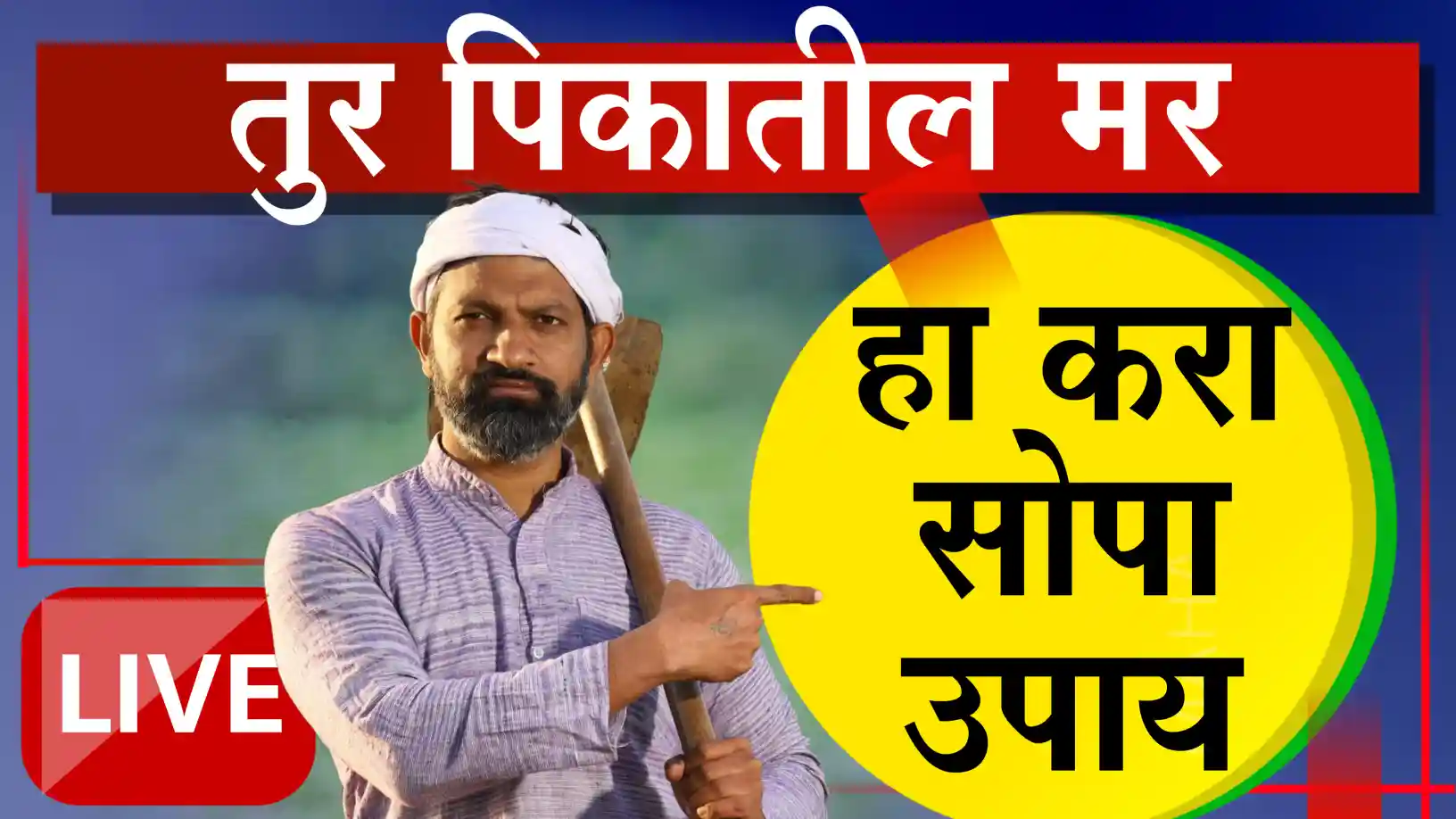 तुर पिकातील मर रोगावर मात
