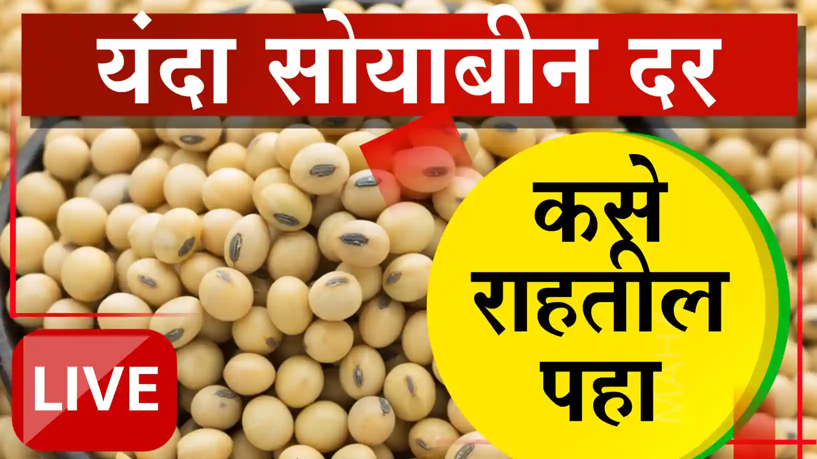सोयाबीन उत्पादनात मोठी घट