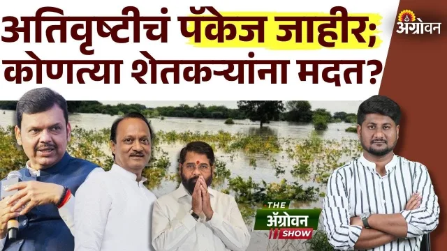 अतिवृष्टीग्रस्तांसाठी राज्य सरकारची ३१६२८ कोटींची महा पॅकेज घोषणा