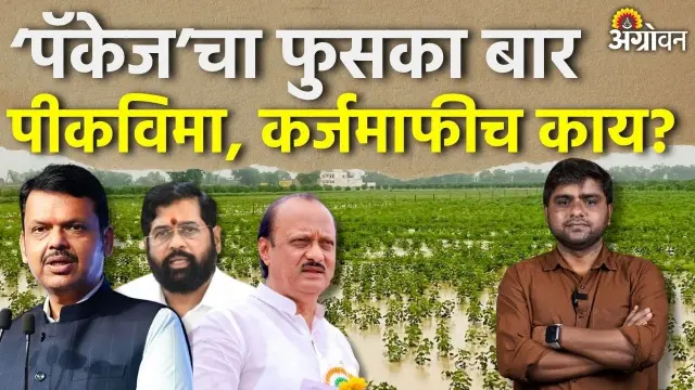 शेतकऱ्यांसाठी ३१ हजार कोटींचे पॅकेज